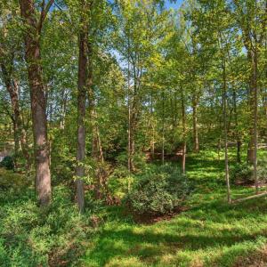 Photo #38 of 825 Mohawk Drive, Lynchburg, VA 1.6 acres