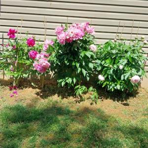 Photo #18 of 4243 Tye River Road, Amherst, VA 11.6 acres