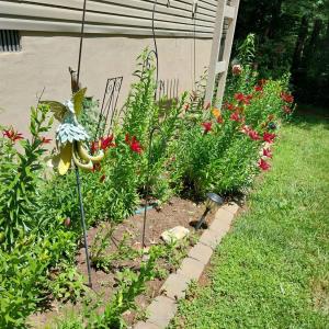 Photo #16 of 4243 Tye River Road, Amherst, VA 11.6 acres