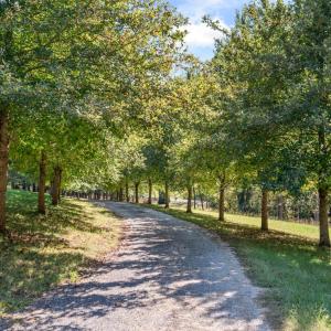 Photo #87 of 929 Wilson Hill Road, Arrington, VA 4.3 acres