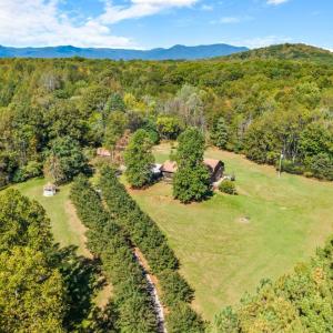 Photo #90 of 929 Wilson Hill Road, Arrington, VA 4.3 acres