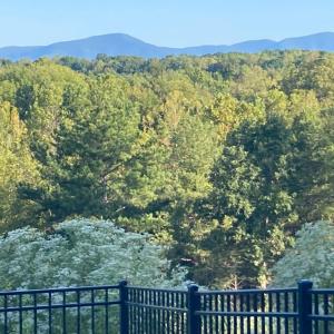 Photo #33 of 1209 Crossing Court, Bedford, VA 0.2 acres