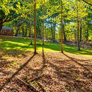 Photo #8 of 2097 Shula, Hurt, VA 1.1 acres