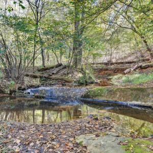 Photo #47 of 143 Father Judge Road, Amherst, VA 8.0 acres