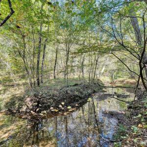 Photo #48 of 143 Father Judge Road, Amherst, VA 8.0 acres