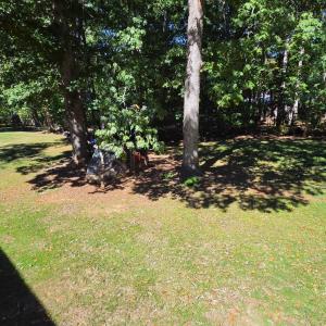 Photo #63 of 65 Goldfinch Drive, Lynchburg, VA 0.5 acres