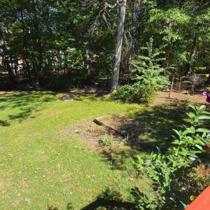 Photo #65 of 65 Goldfinch Drive, Lynchburg, VA 0.5 acres