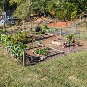 Photo #48 of 8915 Charlemont Road, Goode, VA 1.6 acres