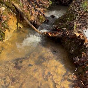 Photo #63 of 5687 Elon Road, Monroe, VA 24.2 acres