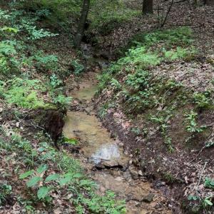 Photo #62 of 5687 Elon Road, Monroe, VA 24.2 acres
