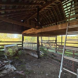 Photo #60 of 1687 Pilgrim Road, Goode, VA 54.0 acres