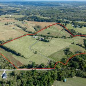 Photo #3 of 1687 Pilgrim Road, Goode, VA 54.0 acres