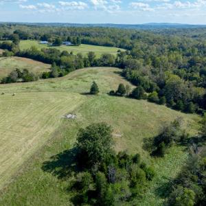 Photo #84 of 1687 Pilgrim Road, Goode, VA 54.0 acres