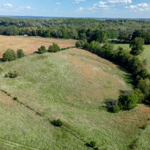 Photo #88 of 1687 Pilgrim Road, Goode, VA 54.0 acres