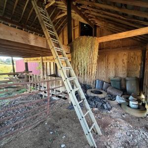 Photo #61 of 1687 Pilgrim Road, Goode, VA 54.0 acres