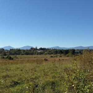Photo #52 of 1687 Pilgrim Road, Goode, VA 54.0 acres