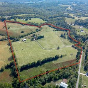 Photo #64 of 1687 Pilgrim Road, Goode, VA 54.0 acres