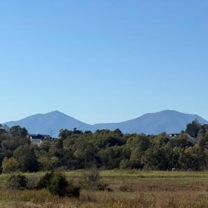 Photo #53 of 1687 Pilgrim Road, Goode, VA 54.0 acres