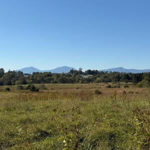 Photo #51 of 1687 Pilgrim Road, Goode, VA 54.0 acres