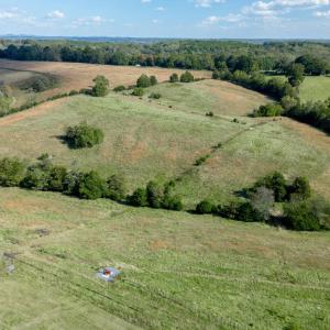 Photo #86 of 1687 Pilgrim Road, Goode, VA 54.0 acres