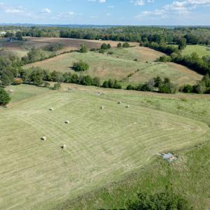 Photo #85 of 1687 Pilgrim Road, Goode, VA 54.0 acres