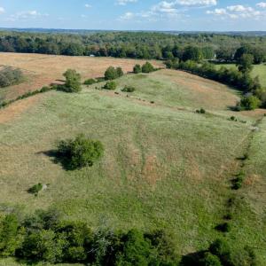 Photo #87 of 1687 Pilgrim Road, Goode, VA 54.0 acres
