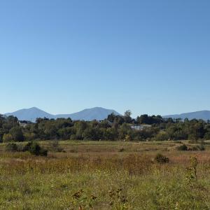 Photo #54 of 1687 Pilgrim Road, Goode, VA 54.0 acres