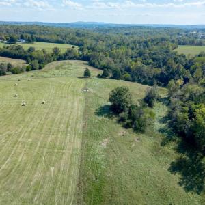 Photo #83 of 1687 Pilgrim Road, Goode, VA 54.0 acres
