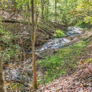 Photo #65 of 188 Lake Drive, Amherst, VA 0.5 acres