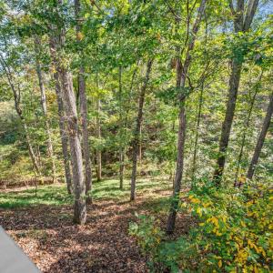 Photo #63 of 188 Lake Drive, Amherst, VA 0.5 acres