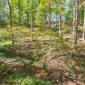 Photo #64 of 188 Lake Drive, Amherst, VA 0.5 acres