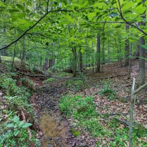 Photo #69 of 1249 Cedar Gate rd., Monroe, VA 2.9 acres