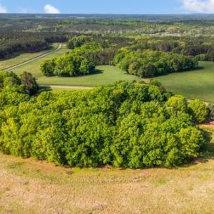 Photo #45 of 580 Jennings Road, Gladys, VA 3.1 acres