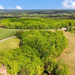 Photo #46 of 580 Jennings Road, Gladys, VA 3.1 acres