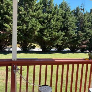 view from the front porch. trees block road so it's private