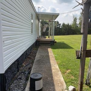 back yard heading from shed to back door