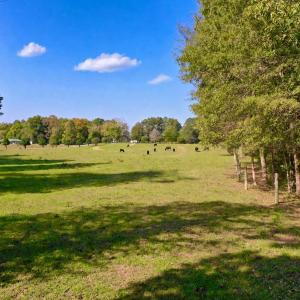 Photo #78 of 1361 Markham Rd, Gretna, VA 19.0 acres