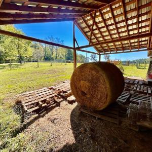 Photo #65 of 1361 Markham Rd, Gretna, VA 19.0 acres