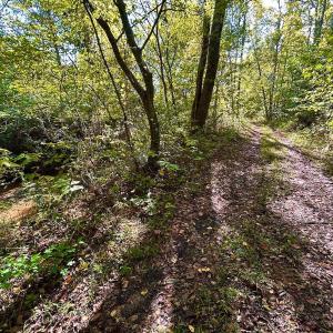 Photo #73 of 1361 Markham Rd, Gretna, VA 19.0 acres