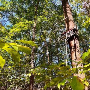 Photo #76 of 1361 Markham Rd, Gretna, VA 19.0 acres