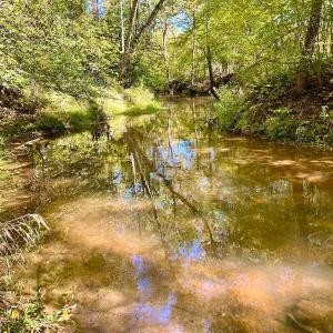 Photo #72 of 1361 Markham Rd, Gretna, VA 19.0 acres