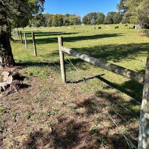 Photo #79 of 1361 Markham Rd, Gretna, VA 19.0 acres