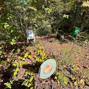 Photo #51 of 1361 Markham Rd, Gretna, VA 19.0 acres