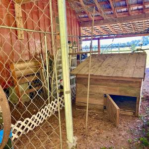 Photo #64 of 1361 Markham Rd, Gretna, VA 19.0 acres