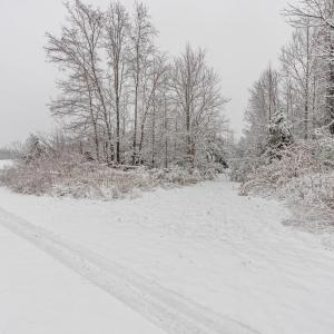 Photo #94 of 420 Watlington Road, Gretna, VA 8.8 acres