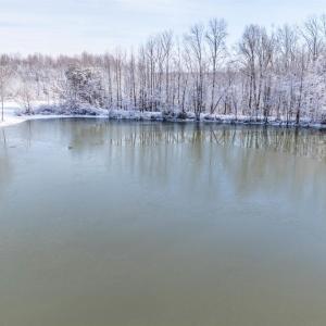 Photo #89 of 420 Watlington Road, Gretna, VA 8.8 acres