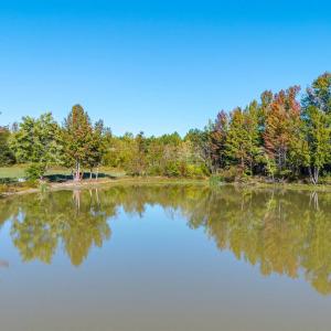 Photo #5 of 420 Watlington Road, Gretna, VA 8.8 acres