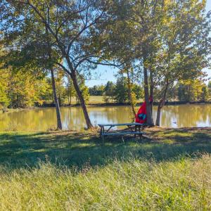 Photo #71 of 420 Watlington Road, Gretna, VA 8.8 acres