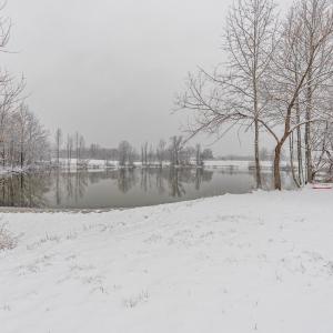 Photo #92 of 420 Watlington Road, Gretna, VA 8.8 acres