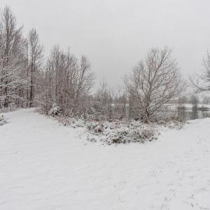 Photo #91 of 420 Watlington Road, Gretna, VA 8.8 acres